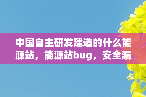 中国自主研发建造的什么能源站，能源站bug，安全漏洞与运维挑战的深度剖析