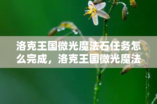 洛克王国微光魔法石任务怎么完成,洛克王国微光魔法石任务,探索神秘世界的奇妙之旅 洛克王国微光魔法石任务怎么完成,洛克王国微光魔法石任务,探索神秘世界的奇妙之旅