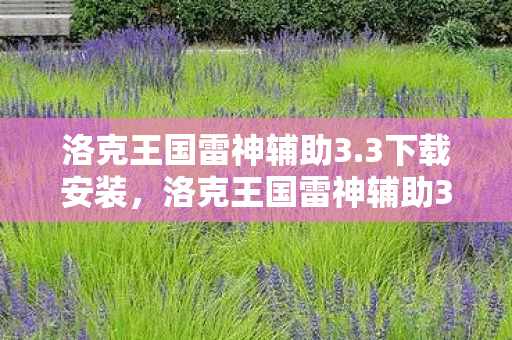 洛克王国雷神辅助3.3下载安装，洛克王国雷神辅助3.3下载体验分享