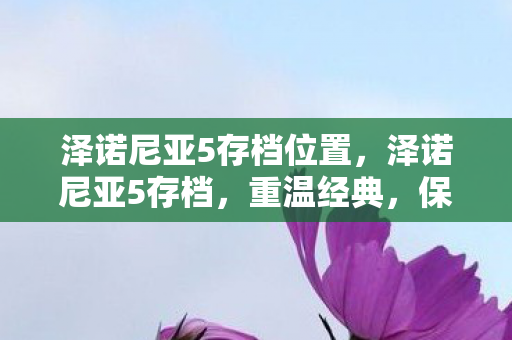 泽诺尼亚5存档位置，泽诺尼亚5存档，重温经典，保存你的冒险旅程