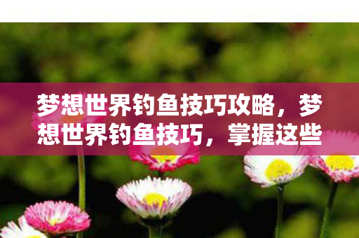 梦想世界钓鱼技巧攻略，梦想世界钓鱼技巧，掌握这些技巧，让你成为钓鱼大师