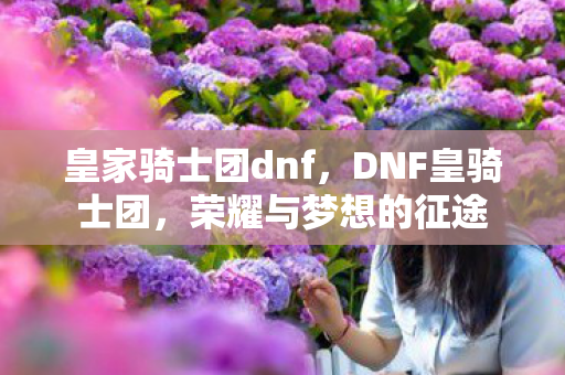 皇家骑士团dnf，DNF皇骑士团，荣耀与梦想的征途
