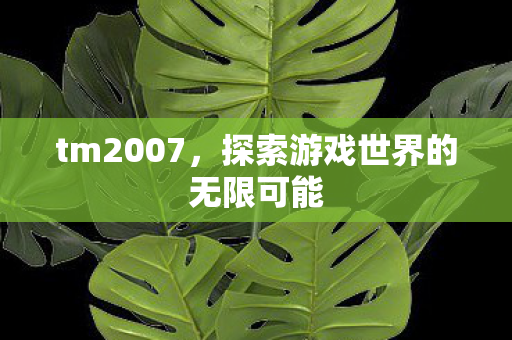tm2007，探索游戏世界的无限可能