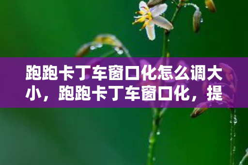 跑跑卡丁车窗口化怎么调大小，跑跑卡丁车窗口化，提升游戏体验的必备技巧