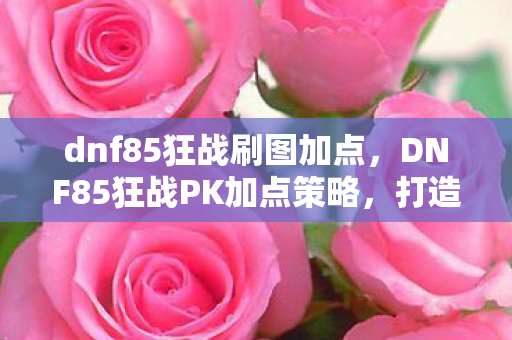 dnf85狂战刷图加点，DNF85狂战PK加点策略，打造无敌战斗体验