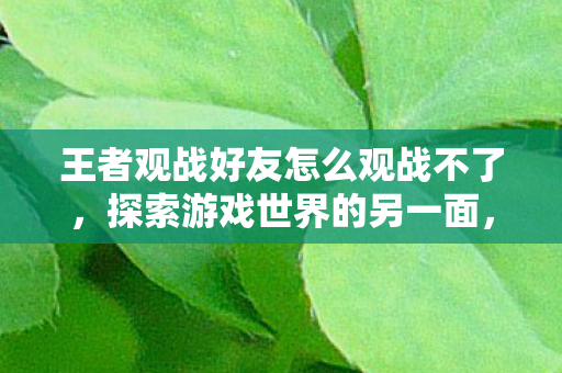 王者观战好友怎么观战不了,探索游戏世界的另一面,私服与官方服务器的独特魅力 王者观战好友怎么观战不了,探索游戏世界的另一面,私服与官方服务器的独特魅力