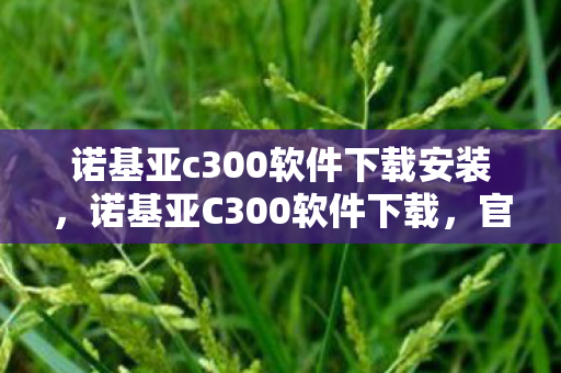 诺基亚c300软件下载安装,诺基亚C300软件下载,官方渠道与资源获取指南 诺基亚c300软件下载安装,诺基亚C300软件下载,官方渠道与资源获取指南