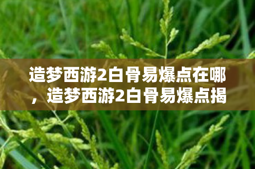 造梦西游2白骨易爆点在哪,造梦西游2白骨易爆点揭秘,提升装备掉落率的实战攻略 造梦西游2白骨易爆点在哪,造梦西游2白骨易爆点揭秘,提升装备掉落率的实战攻略