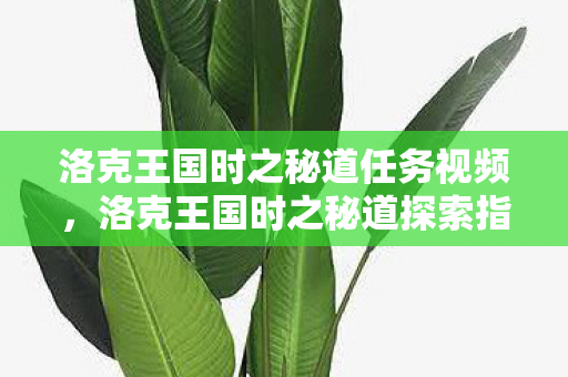 洛克王国时之秘道任务视频，洛克王国时之秘道探索指南