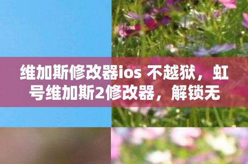 维加斯修改器ios 不越狱，虹号维加斯2修改器，解锁无限可能的游戏新体验
