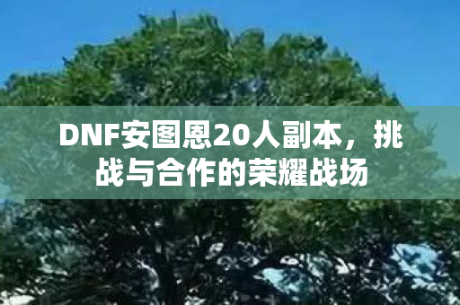DNF安图恩20人副本,挑战与合作的荣耀战场 DNF安图恩20人副本,挑战与合作的荣耀战场