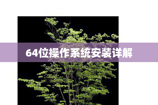 64位操作系统安装详解
