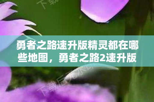 勇者之路速升版精灵都在哪些地图，勇者之路2速升版，高效升级攻略与心得分享
