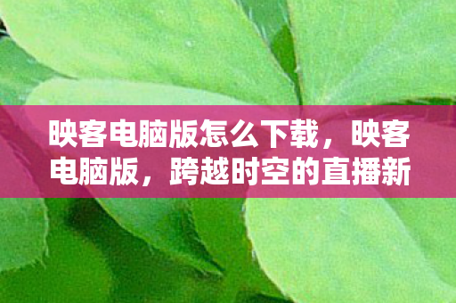 映客电脑版怎么下载，映客电脑版，跨越时空的直播新体验