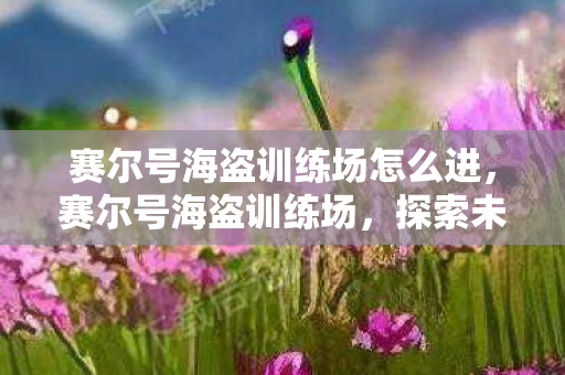 赛尔号海盗训练场怎么进,赛尔号海盗训练场,探索未知,挑战极限 赛尔号海盗训练场怎么进,赛尔号海盗训练场,探索未知,挑战极限