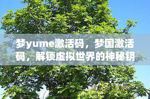 梦yume激活码，梦国激活码，解锁虚拟世界的神秘钥匙