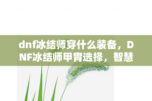 dnf冰结师穿什么装备，DNF冰结师甲胄选择，智慧与力量的平衡