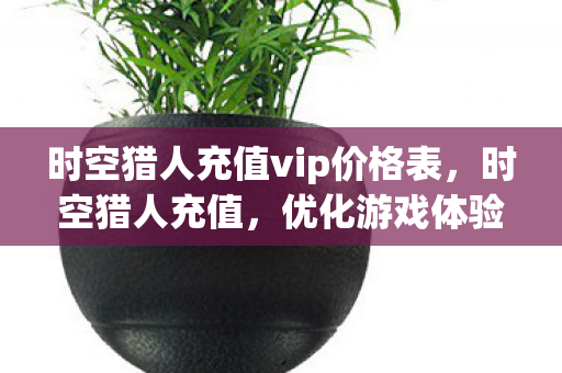 时空猎人充值vip价格表,时空猎人充值,优化游戏体验,提升战斗实力 时空猎人充值vip价格表,时空猎人充值,优化游戏体验,提升战斗实力