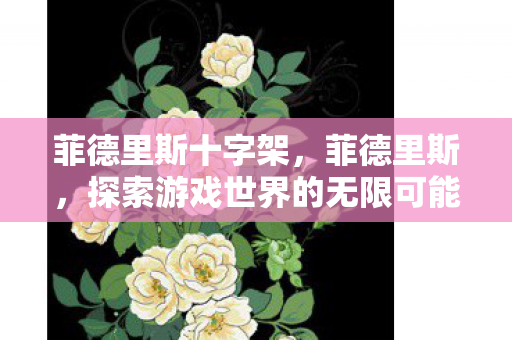 菲德里斯十字架，菲德里斯，探索游戏世界的无限可能
