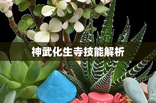 神武化生寺技能解析 神武化生寺技能解析