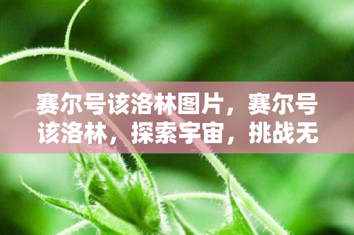 赛尔号该洛林图片,赛尔号该洛林,探索宇宙,挑战无限可能 赛尔号该洛林图片,赛尔号该洛林,探索宇宙,挑战无限可能
