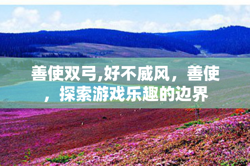 善使双弓,好不威风，善使，探索游戏乐趣的边界