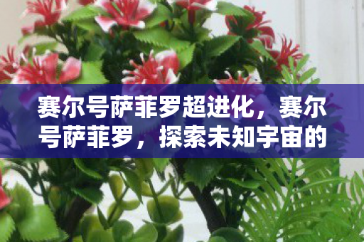赛尔号萨菲罗超进化,赛尔号萨菲罗,探索未知宇宙的神秘之旅 赛尔号萨菲罗超进化,赛尔号萨菲罗,探索未知宇宙的神秘之旅