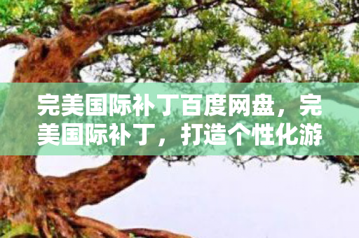 完美国际补丁百度网盘,完美国际补丁,打造个性化游戏体验 完美国际补丁百度网盘,完美国际补丁,打造个性化游戏体验