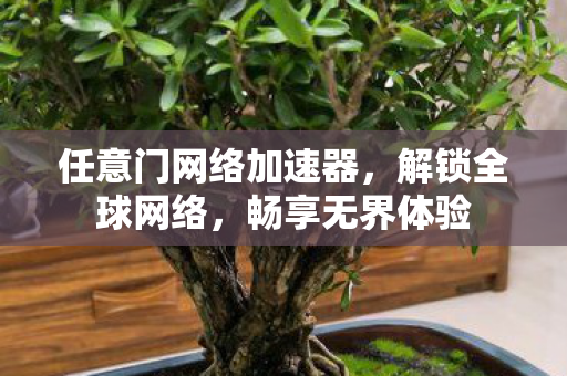 任意门网络加速器，解锁全球网络，畅享无界体验