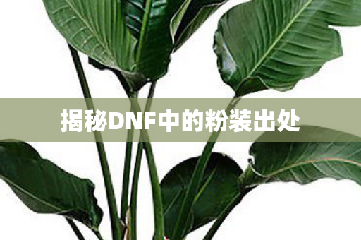 揭秘DNF中的粉装出处 揭秘DNF中的粉装出处