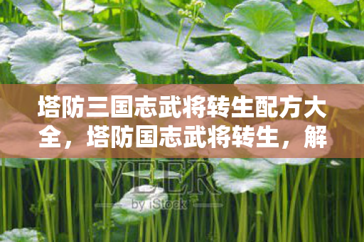 塔防三国志武将转生配方大全,塔防国志武将转生,解锁新境界的奥秘 塔防三国志武将转生配方大全,塔防国志武将转生,解锁新境界的奥秘