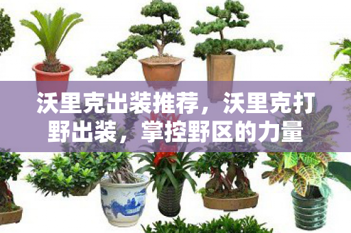 沃里克出装推荐,沃里克打野出装,掌控野区的力量 沃里克出装推荐,沃里克打野出装,掌控野区的力量