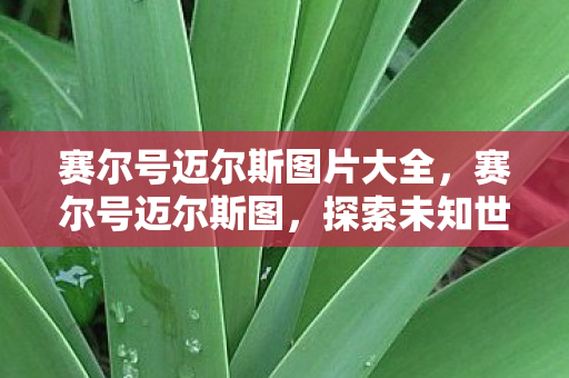 赛尔号迈尔斯图片大全，赛尔号迈尔斯图，探索未知世界的奇妙之旅