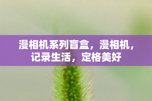 漫相机系列盲盒，漫相机，记录生活，定格美好