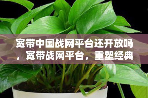 宽带中国战网平台还开放吗,宽带战网平台,重塑经典,引领数字娱乐新风尚 宽带中国战网平台还开放吗,宽带战网平台,重塑经典,引领数字娱乐新风尚