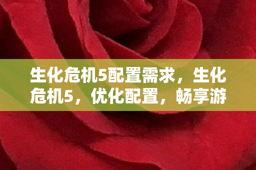 生化危机5配置需求，生化危机5，优化配置，畅享游戏盛宴