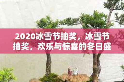 2020冰雪节抽奖,冰雪节抽奖,欢乐与惊喜的冬日盛宴 2020冰雪节抽奖,冰雪节抽奖,欢乐与惊喜的冬日盛宴