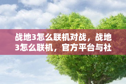 战地3怎么联机对战,战地3怎么联机,官方平台与社区服务器的联机攻略 战地3怎么联机对战,战地3怎么联机,官方平台与社区服务器的联机攻略