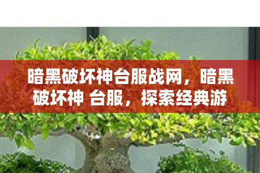 暗黑破坏神台服战网,暗黑破坏神 台服,探索经典游戏的本地化之旅 暗黑破坏神台服战网,暗黑破坏神 台服,探索经典游戏的本地化之旅