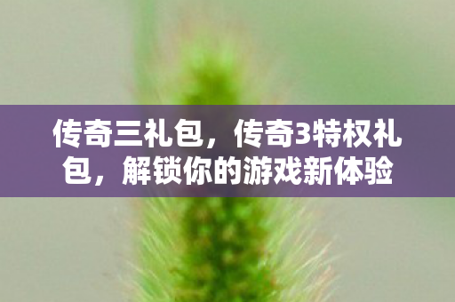 传奇三礼包，传奇3特权礼包，解锁你的游戏新体验