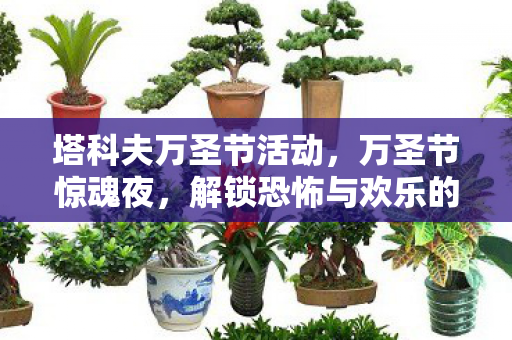 塔科夫万圣节活动,万圣节惊魂夜,解锁恐怖与欢乐的奇妙碰撞 塔科夫万圣节活动,万圣节惊魂夜,解锁恐怖与欢乐的奇妙碰撞