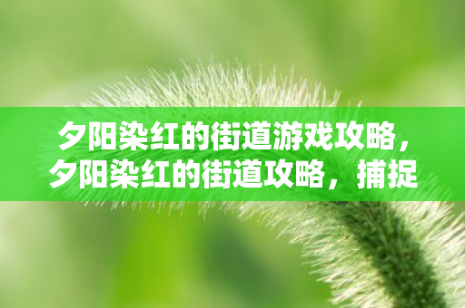 夕阳染红的街道游戏攻略,夕阳染红的街道攻略,捕捉浪漫余晖的旅行指南 夕阳染红的街道游戏攻略,夕阳染红的街道攻略,捕捉浪漫余晖的旅行指南