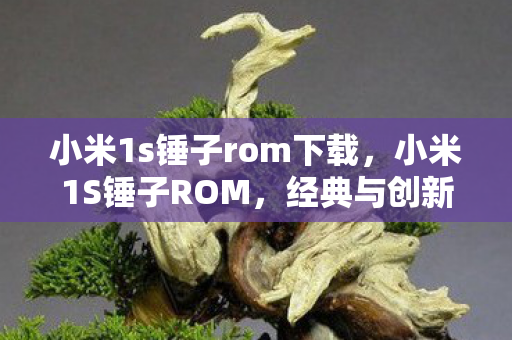 小米1s锤子rom下载,小米1S锤子ROM,经典与创新的融合 小米1s锤子rom下载,小米1S锤子ROM,经典与创新的融合