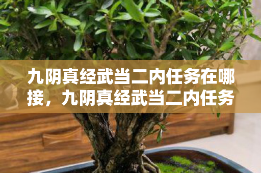 九阴真经武当二内任务在哪接，九阴真经武当二内任务，探寻武学真谛的修行之旅