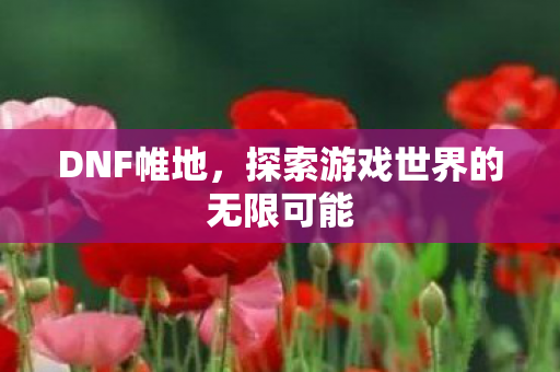 DNF帷地，探索游戏世界的无限可能
