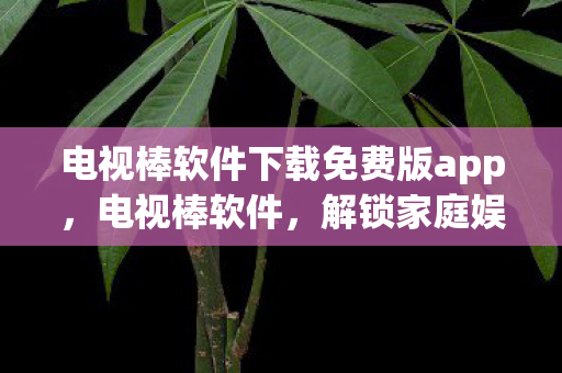 电视棒软件下载免费版app，电视棒软件，解锁家庭娱乐新体验