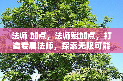法师 加点,法师赋加点,打造专属法师,探索无限可能 法师 加点,法师赋加点,打造专属法师,探索无限可能