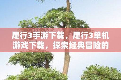 尾行3手游下载,尾行3单机游戏下载,探索经典冒险的绝佳选择 尾行3手游下载,尾行3单机游戏下载,探索经典冒险的绝佳选择