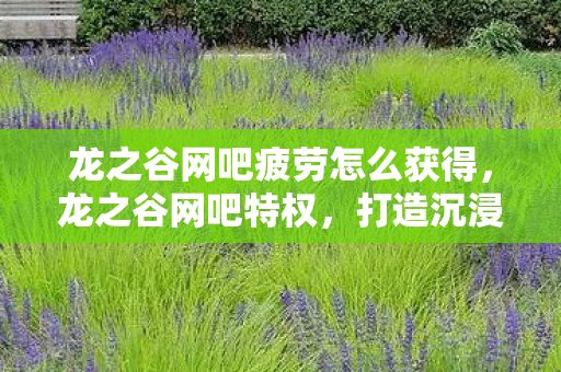 龙之谷网吧疲劳怎么获得，龙之谷网吧特权，打造沉浸式游戏体验
