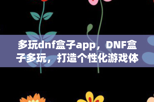 多玩dnf盒子app，DNF盒子多玩，打造个性化游戏体验